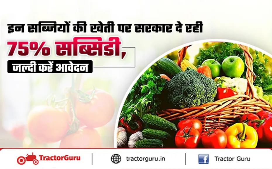 किसानों को इन हाइब्रिड सब्जियों की खेती करने पर सरकार देगी 75 प्रतिशत सब्सिडी