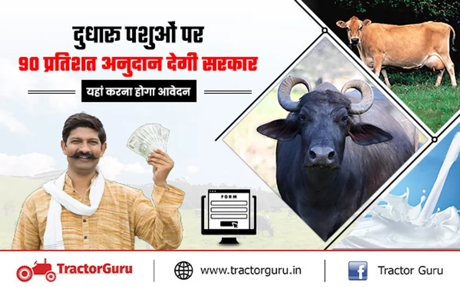 Dairy Cattle : दुधारू पशु गाय और भैंस की खरीद पर मिलेगी 90 प्रतिशत की सब्सिडी