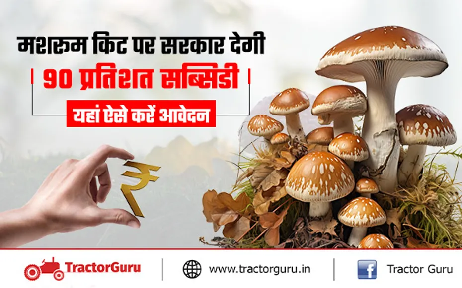 मशरूम किट पर सरकार देगी 90 प्रतिशत सब्सिडी, यहां करें आवेदन