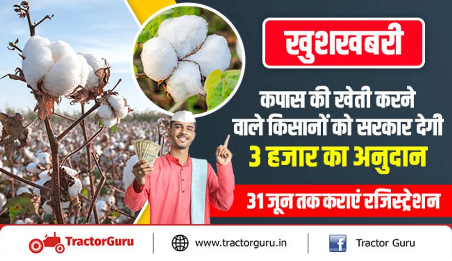 खुशखबरी : कपास की खेती करने वाले किसानों को सरकार देगी 3 हजार का अनुदान, 31 जून तक कराएं रजिस्ट्रेशन