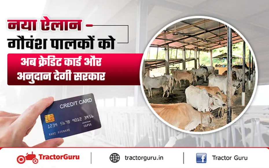 सरकार 10 से अधिक गाय पालने पर गौ पालकों को क्रेडिट कार्ड और सब्सिडी देगी