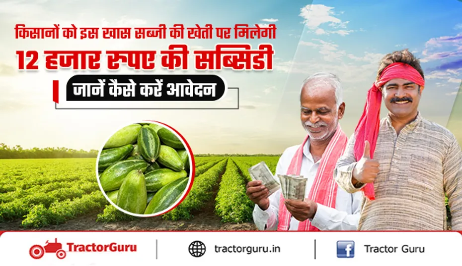 Parwal Vegetable : किसानों को परवल की खेती पर 12 हजार रुपए की सब्सिडी देगी सरकार