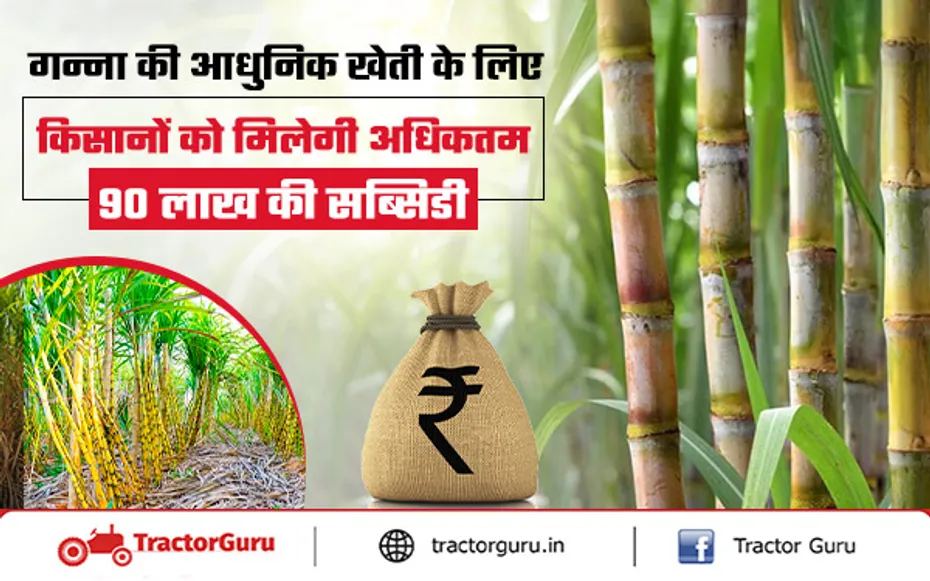 Sugarcane Farming : सरकार देगी गन्ने की आधुनिक खेती के लिए 90 लाख की सब्सिडी
