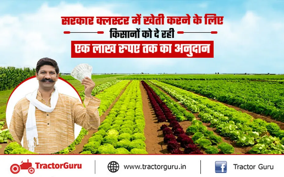 Agriculture : क्लस्टर में खेती के लिए किसानों को दे रही एक लाख रुपए तक का अनुदान