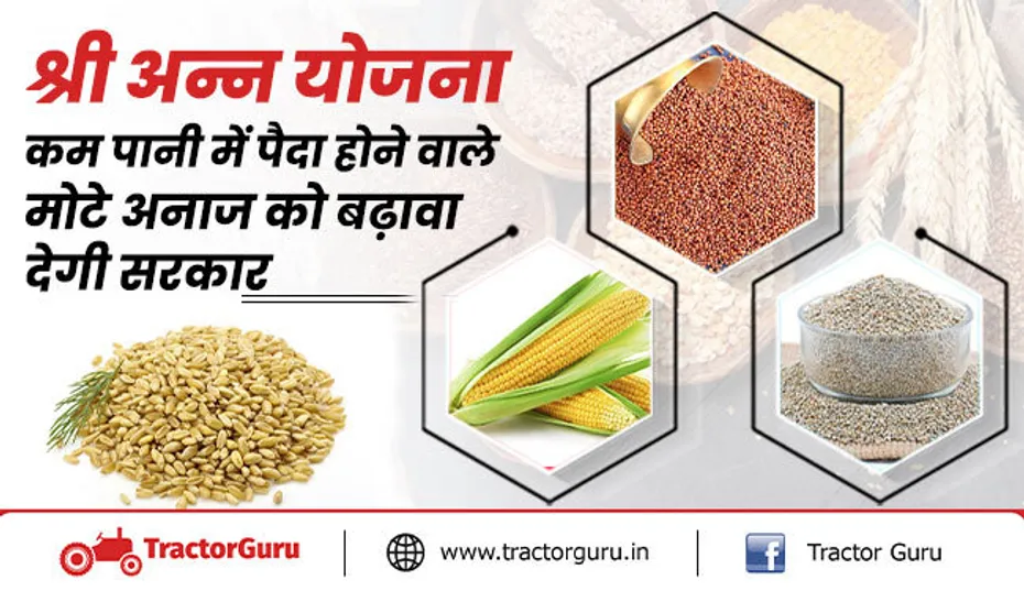 अन्न योजना : कम पानी में पैदा होने वाले मोटे अनाज को बढ़ावा देगी सरकार