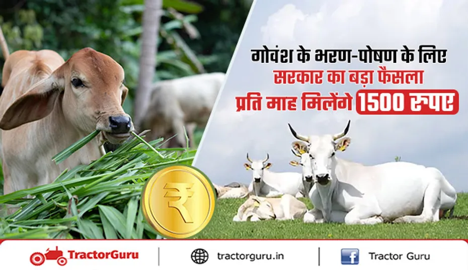 गोवंश पालन के लिए सरकार देगी ₹1500 प्रति माह सहायता
