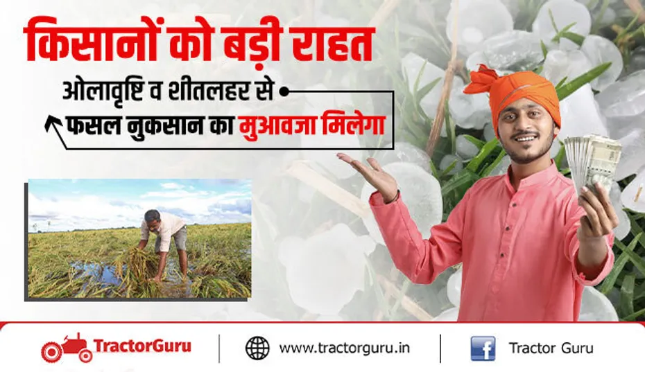 फसल नुकसान मुआवजा : बारिश व ओलावृष्टि से हुए फसल नुकसान की भरपाई करेगी सरकार
