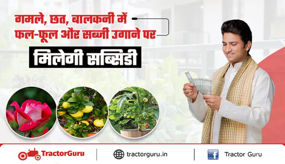 Horticulture Crops: फल, फूल और सब्जी उगाने के लिए 75% सब्सिडी