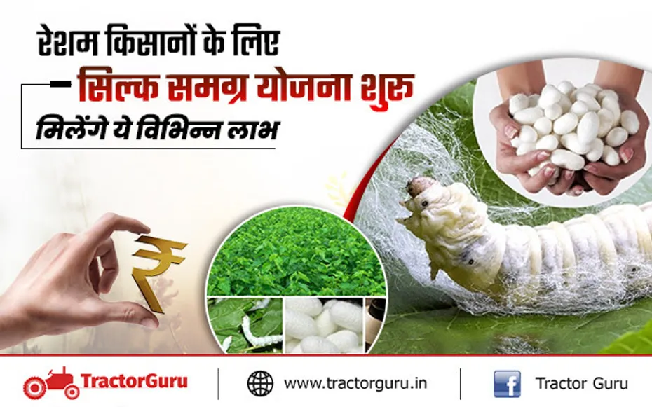 Silk Farming : सरकार ने चलाई सिल्क समग्र योजना, किसानों को मिलेगी वित्तीय सहायता