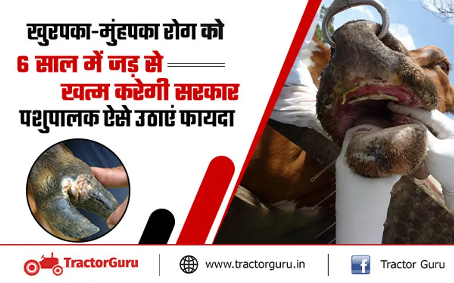 FMD: खुरपका-मुंहपका रोग को 6 साल में जड़ से खत्म करेगी सरकार, पशुपालक उठाएं लाभ