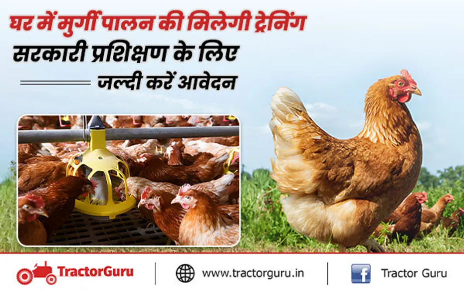 Poultry Farm: घर में मुर्गी पालन करने की ट्रेनिंग देगी सरकार, जल्दी करें आवेदन