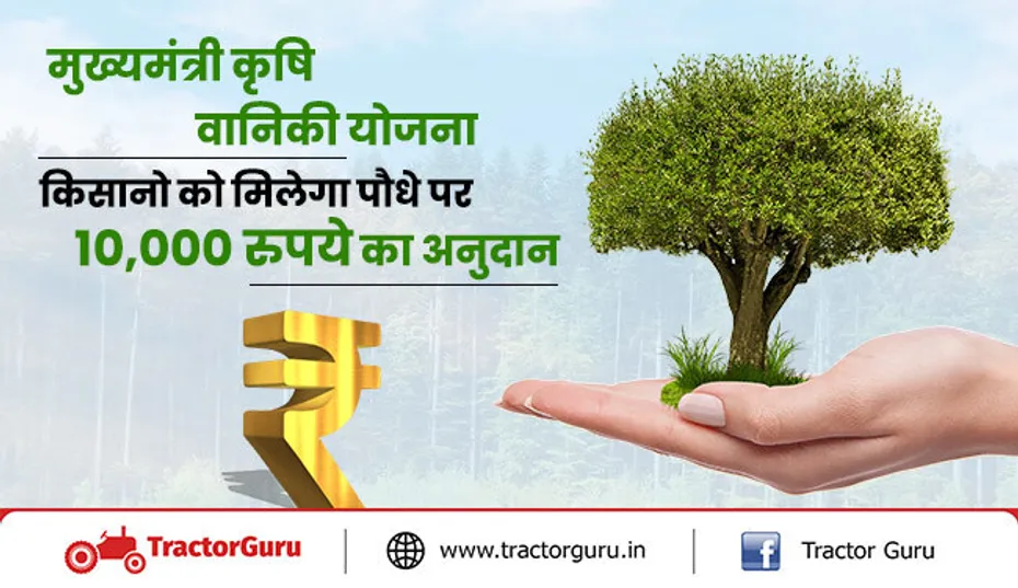 मुख्यमंत्री कृषि वानिकी योजना : किसानो को मिलेगा पौधे पर 10,000 रुपये का अनुदान