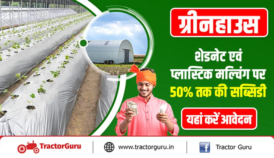 ग्रीनहाउस - शेडनेट एवं प्लास्टिक मल्चिंग पर 50 प्रतिशत तक की सब्सिडी, यहां करें आवेदन