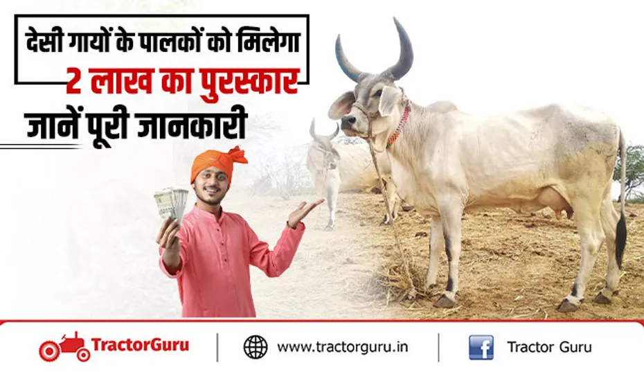 नवीन पुरस्कार योजना : देसी गायों के पालकों को मिलेगा 2 लाख का पुरस्कार, जानें पूरी जानकारी