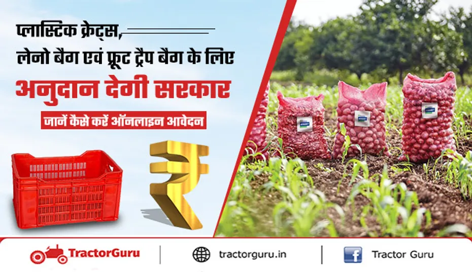 Horticulture: प्लास्टिक क्रेट्स, लेनो बैग और फ्रूट ट्रैप बैग पर 80 प्रतिशत सब्सिडी