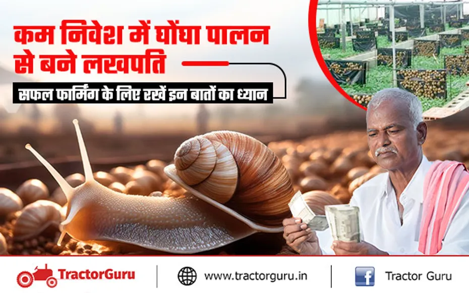 Snail Farming: जाने घोंघा पालन से कैसे करें अपनी आय को दोगुना