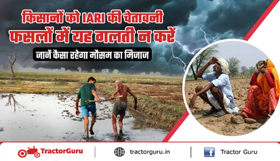 IARI की सलाह: रबी फसलों में इन गलतियों से बचें, जानें मौसम का हाल