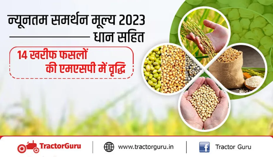 न्यूनतम समर्थन मूल्य 2023 : धान सहित 14 खरीफ फसलों की एमएसपी में वृद्धि