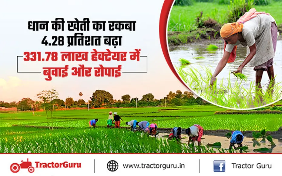 Kharif Crops : पिछले साल के मुकाबले इस साल धान की खेती का रकबा 4.28 प्रतिशत बढ़ा