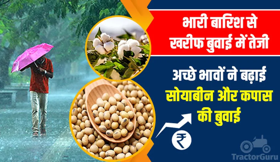 भारी बारिश से खरीफ बुवाई में तेजी, अच्छे भावों ने बढ़ाई सोयाबीन और कपास की बुवाई