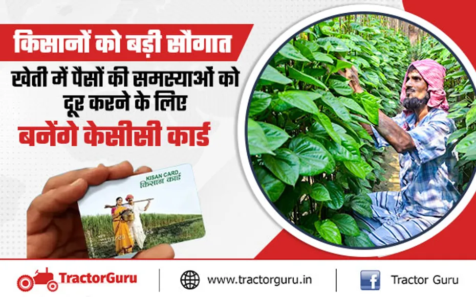 किसान क्रेडिट कार्ड : किसान पान की खेती के लिए ले सकेंगे 36 हजार रुपए तक का लोन