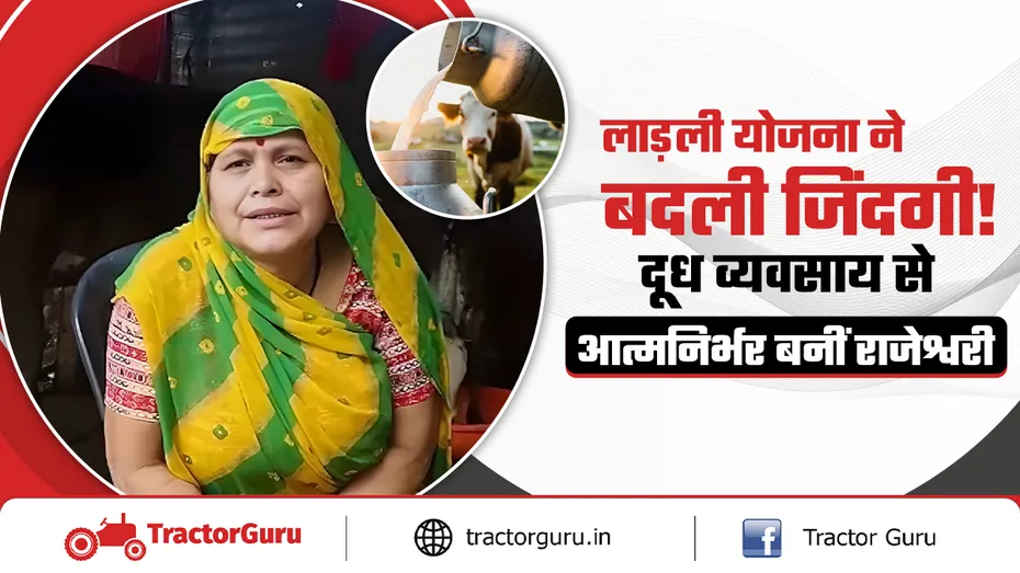 लाड़ली योजना ने बदली जिंदगी! दूध व्यवसाय से आत्मनिर्भर बनीं राजेश्वरी