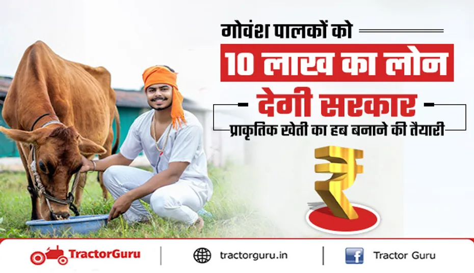 गाय पालने पर मिलेगा 10 लाख का लोन, प्राकृतिक खेती को बढ़ावा