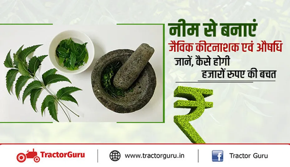 नीम से बनाएं जैविक कीटनाशक एवं औषधि - जानें, कैसे होगी हजारों रुपए की बचत