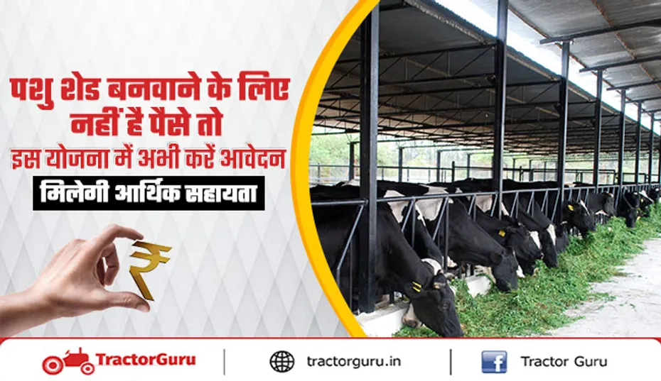 मनरेगा योजना: पशुपालकों को पशु शेड बनाने के लिए आर्थिक सहायता