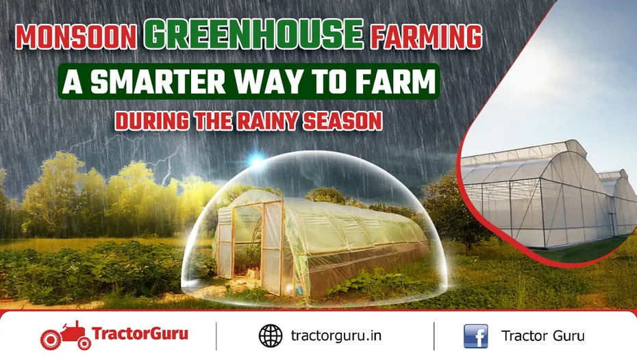 Monsoon Greenhouse Farming: A Smarter Way to Farm During the Rainy Season
