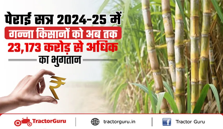 पेराई सत्र 2024-25 में गन्ना किसानों को अब तक 23,173 करोड़ से अधिक का भुगतान