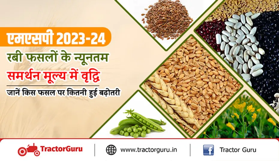 एमएसपी 2023-24: रबी फसलों के न्यूनतम समर्थन मूल्य में वृद्धि, जानें किस फसल पर कितनी हुई बढ़ोतरी