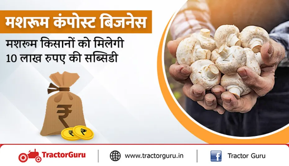 मशरूम कंपोस्ट बिजनेस : मशरूम किसानों को मिलेगी 10 लाख रुपए की सब्सिडी
