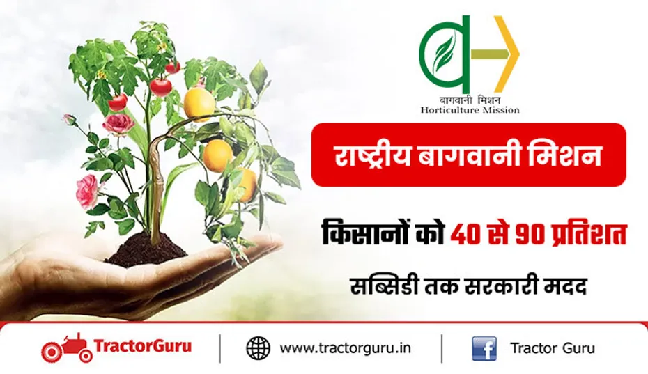 राष्ट्रीय बागवानी मिशन : किसानों को जबरदस्त सब्सिडी, 40 से 90 प्रतिशत तक सरकारी मदद