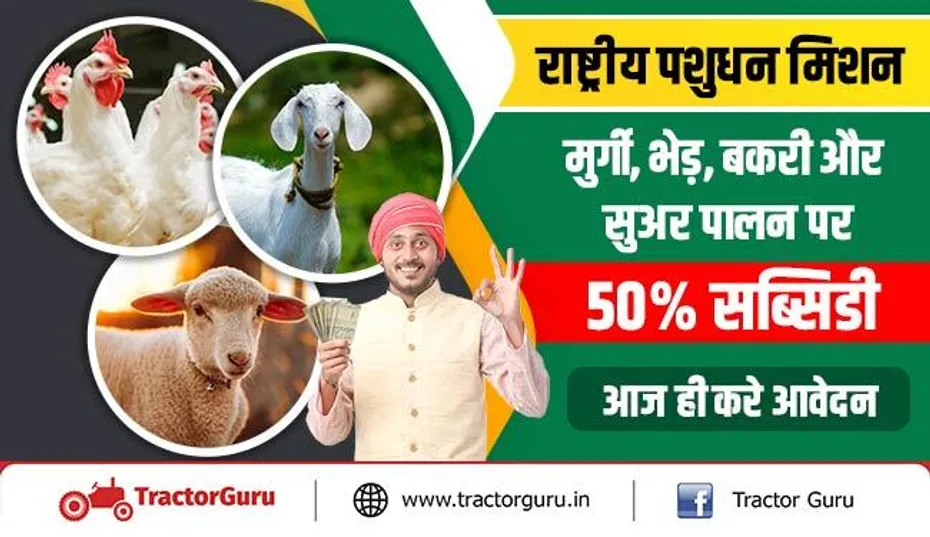 राष्ट्रीय पशुधन मिशन : मुर्गी, भेड़, बकरी और सुअर पालन पर 50 प्रतिशत सब्सिडी - आज ही करे आवेदन