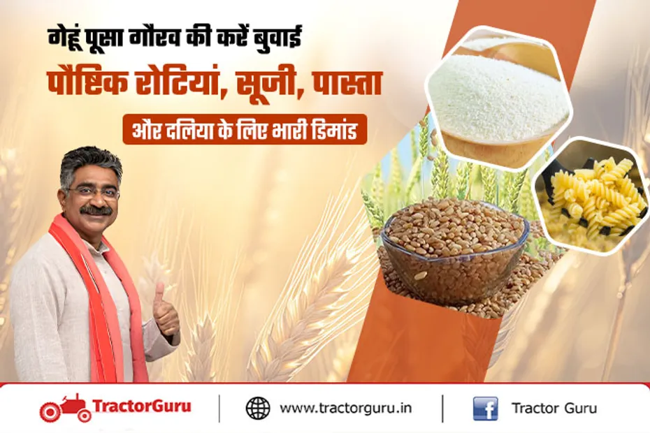 wheat crop : गेहूं की नई किस्म पूसा गौरव (HI 8840), जानें इसकी विशेषताएं