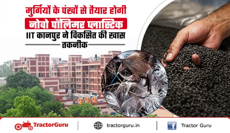मुर्गियों के पंखों से तैयार नोवो पॉलिमर प्लास्टिक, IIT कानपुर की अनोखी खोज