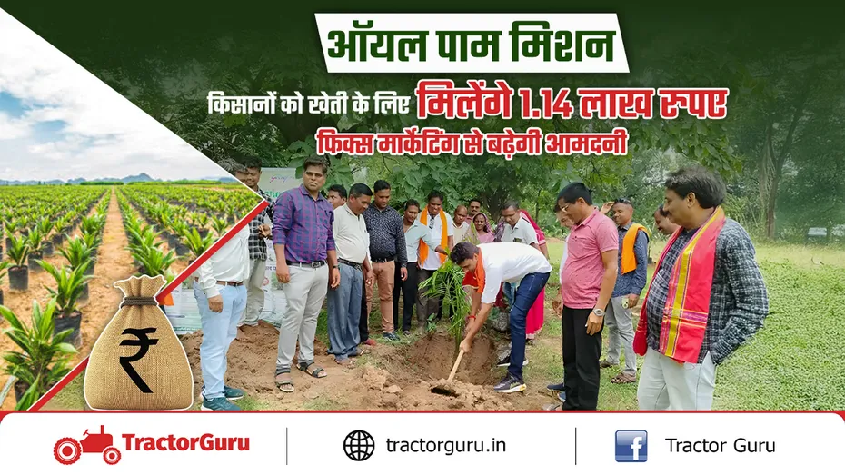 ऑयल पाम मिशन : किसानों को खेती के लिए मिलेंगे 1.14 लाख रुपए