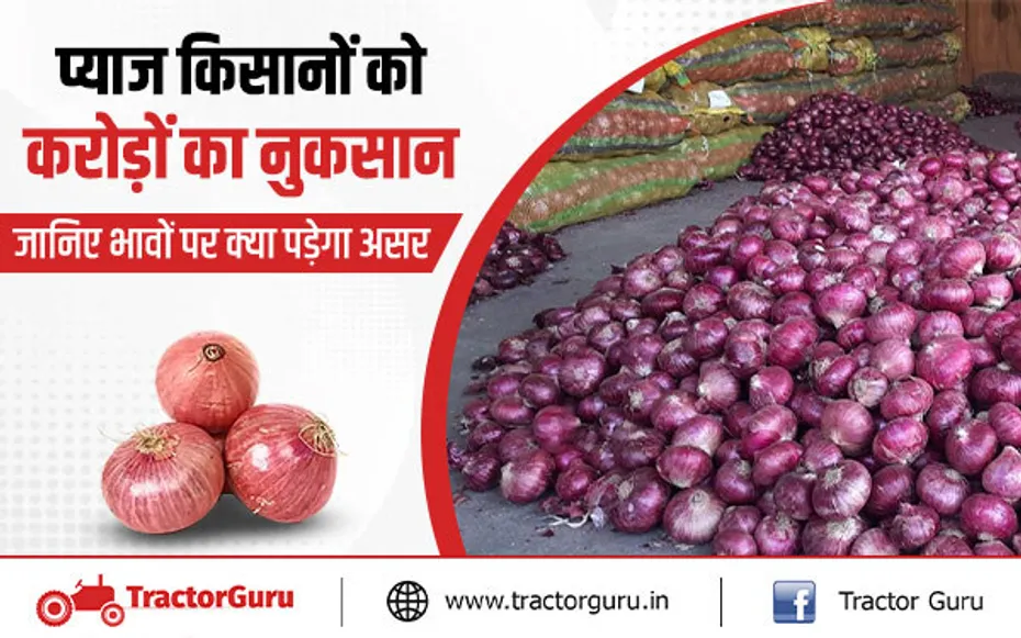 प्याज की खेती : प्याज किसानों को करोड़ों का नुकसान, जानिए भावों पर क्या पड़ेगा असर