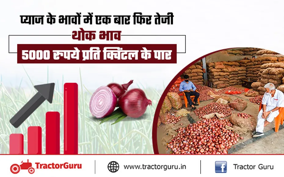 ONION PRICE : 5000 रुपये प्रत‍ि क्व‍िंटल पहुँचा प्याज का भाव,जानें मंडियों में क्या चल रहे हैं दाम?