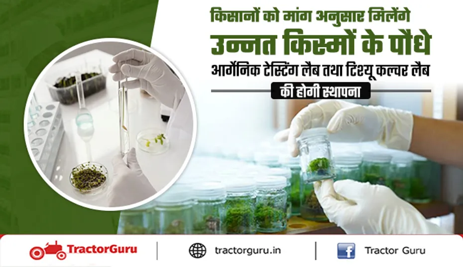 उन्नत किस्मों के पौधे के लिए आर्गेनिक टेस्टिंग लैब तथा टिश्यू कल्चर लैब की स्थापना