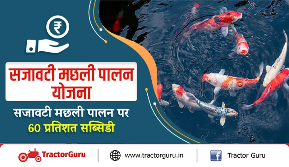 सजावटी मछली पालन योजना -  सजावटी मछली पालन पर 60 प्रतिशत  सब्सिडी