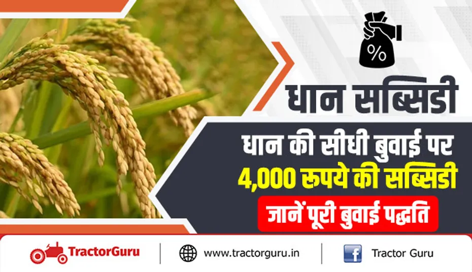धान सब्सिडी : धान की सीधी बुवाई पर 4,000 रूपये की सब्सिडी, जानें पूरी बुवाई पद्धति