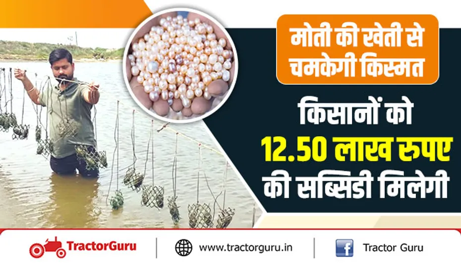 मोती की खेती से चमकेगी किस्मत | किसानों को 12.50 लाख रुपए की सब्सिडी मिलेगी
