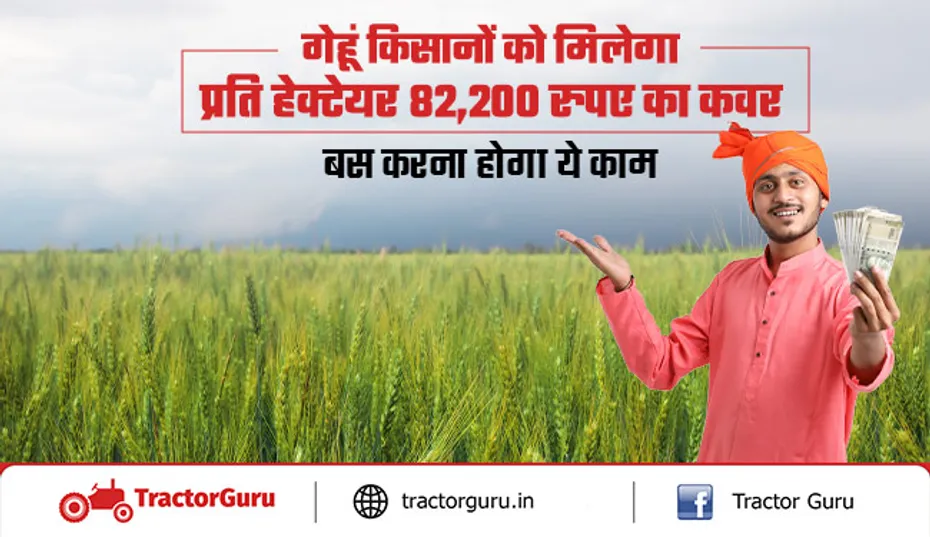 PMFBY: गेहूं क‍िसानों को मिलेगा प्रति हेक्टेयर 82,200 रुपए का कवर