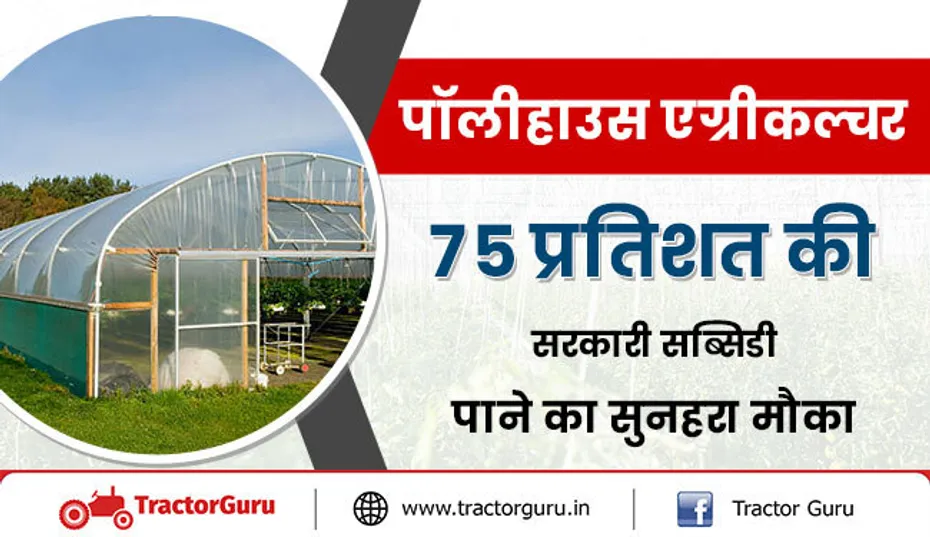 पॉलीहाउस एग्रीकल्चर : 75 प्रतिशत की सरकारी सब्सिडी पाने का सुनहरा मौका