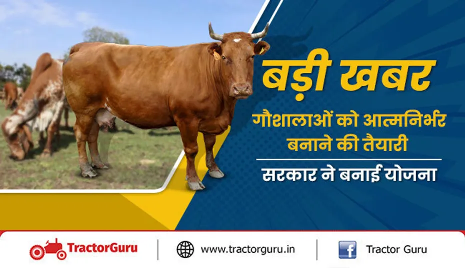 बड़ी खबर : गौशालाओं को आत्मनिर्भर बनाने की तैयारी, सरकार ने बनाई योजना