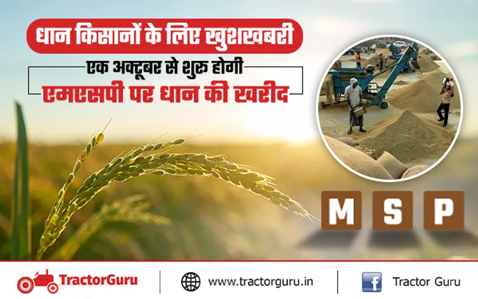 Paddy Procurement : न्यूनतम समर्थन मूल्य पर धान की खरीद एक अक्टूबर से