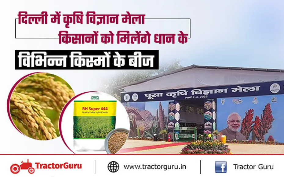 दिल्ली में लगेगा पूसा कृषि विज्ञान मेला 2024, किसान खरीद सकेंगे धान की इन किस्मों के बीज