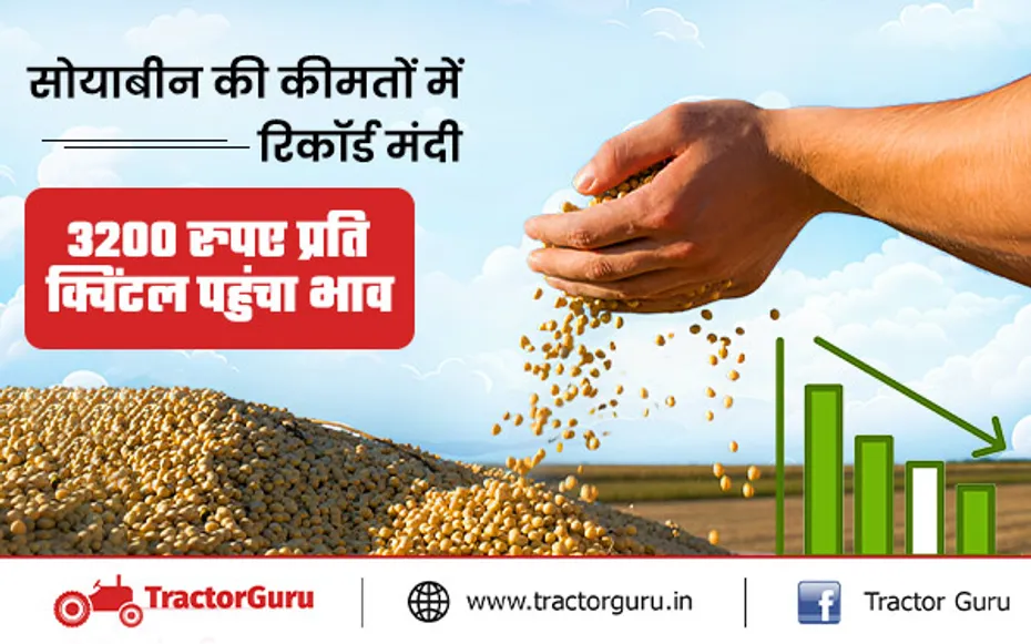 Soybean Price Today: 3200 रुपए प्रति क्विंटल पहुंचा भाव, सोयाबीन की कीमतों में रिकॉर्ड मंदी